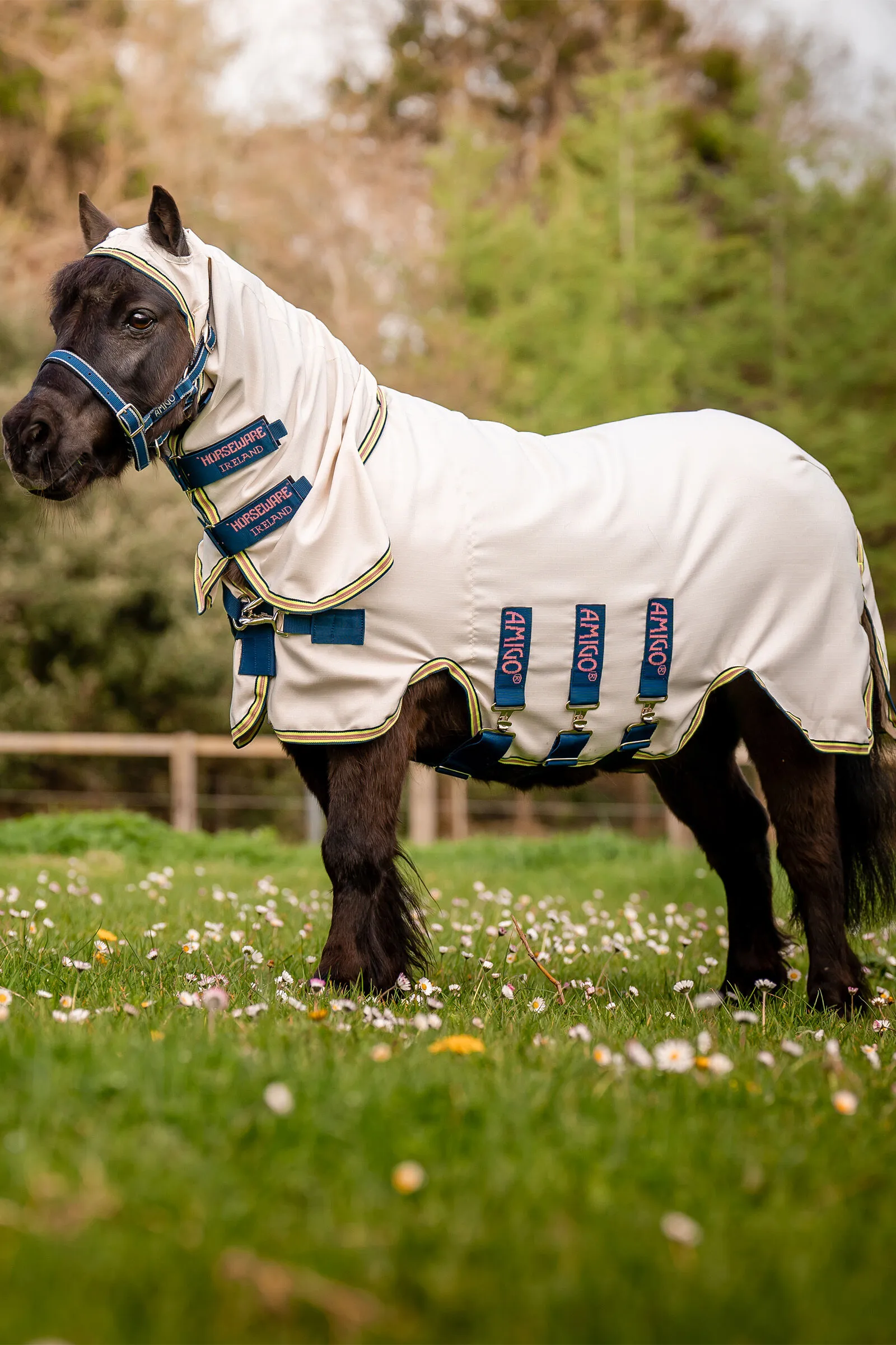 Horseware Amigo Ripstop Hoody, Petite